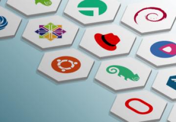 An Abridged Guide to the Enterprise Linux Landscape