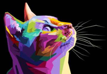 Illuminating Your Console: Enhancing Your Linux Command Line Experience with ccat