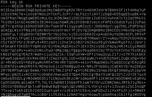 Example output of openssl rsa -in testmastersite.key -check: