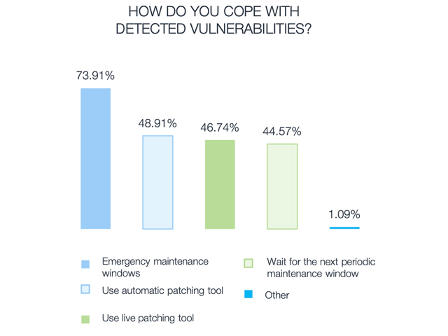 Vulnerability Management Coping Mechanisms